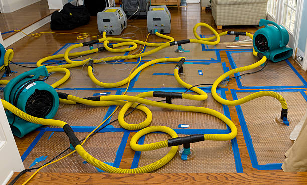 Professional Sewage Cleanup technician working in Fruitland, NC